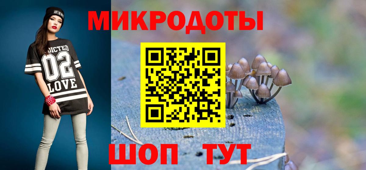 Галлюциногенные грибы прущие грибы  Вход с VPN  Кирово-Чепецк  Галлюциногенные грибы Psilocybe 